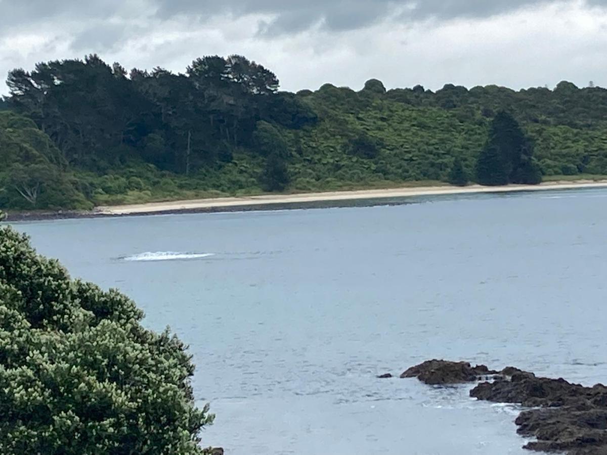 The Seahouse Apartment Kerikeri Luaran gambar
